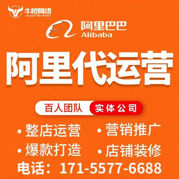 格尔木电商代运营