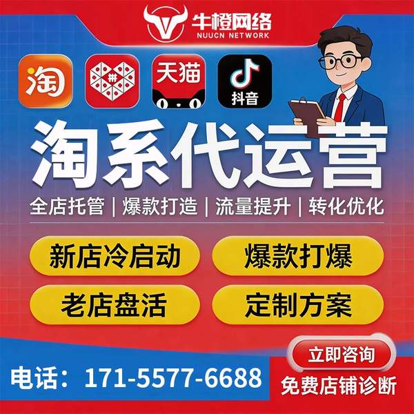 格尔木电商代运营
