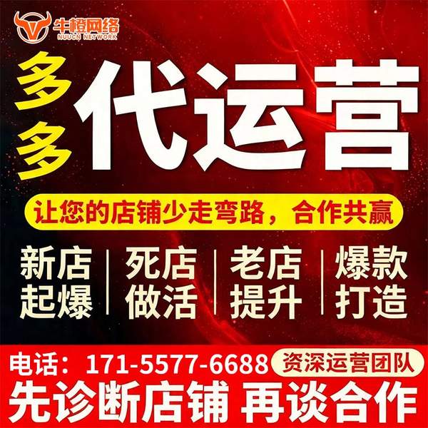 格尔木电商代运营