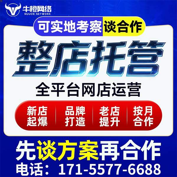 格尔木电商代运营
