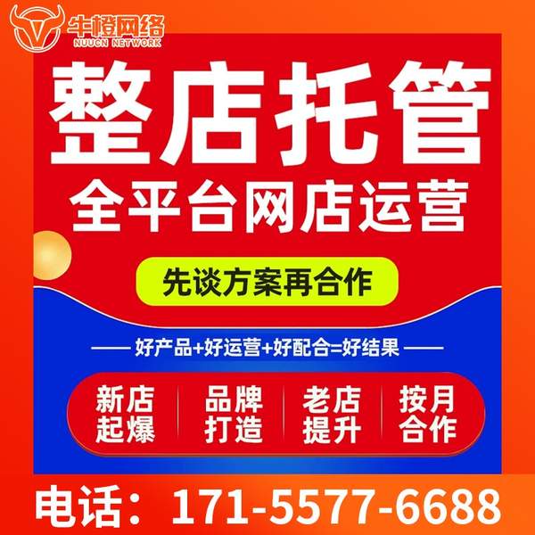 格尔木电商代运营