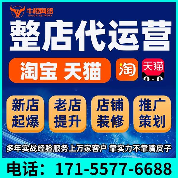 格尔木电商代运营