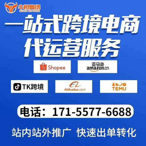 格尔木电商代运营