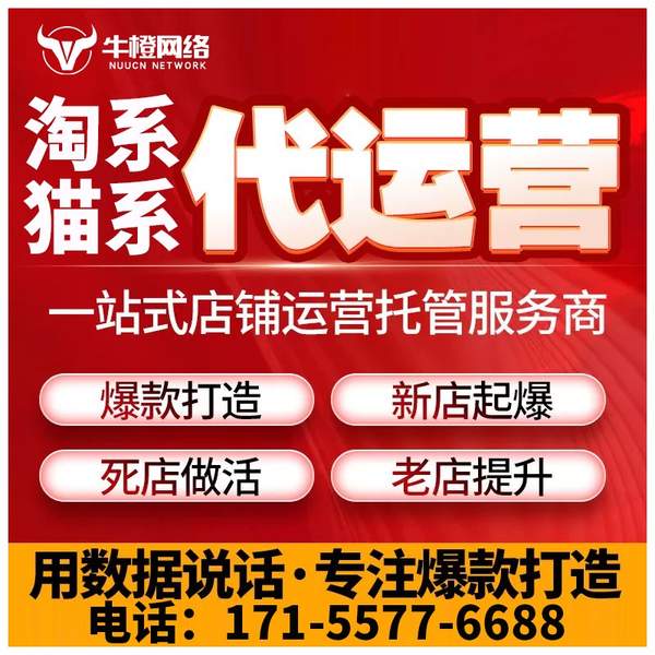 格尔木电商代运营